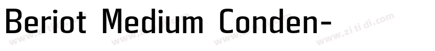 Beriot Medium Conden字体转换
